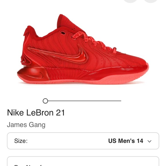 NWOT - Nike LeBron 21 James Gang - Picture 11 of 11